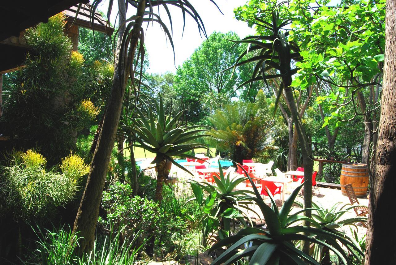 Kangelani Lodge هيلكريست المظهر الخارجي الصورة